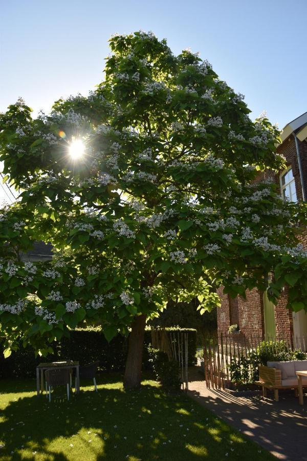 Mille Fleurs - Apartments Voeren Bagian luar foto